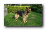Please click here to view the photo gallery of  Finnegan