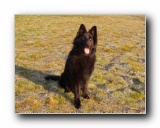 Please click here to view the photo gallery of Kane