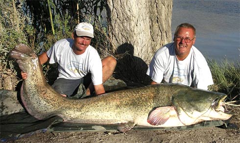 224lb 10oz Chris Trimmer Rio Ebro