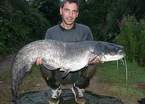 Paul Scarrott 35lb 8oz Orchid Fishery