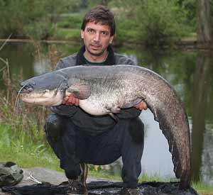 Paul Scarrot 40lb Orchid Lake - Lake Record