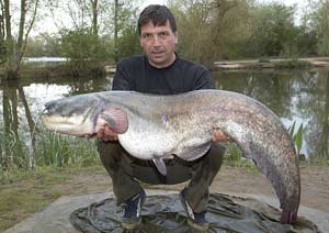 Paul Scarrott 44lb 5oz (Lake Record) Orchid Lakes