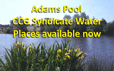 CLICK HERE for details