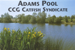 Adams Pool