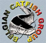 The Belgian Catfish Group