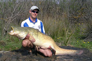 101lb 11oz Dave Lucas