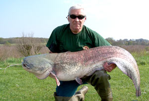 Gerry Chandler 65lb 8oz