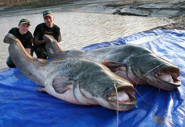 Stefan Seuss 226lb, Benjamin Grunder 214lb River Po