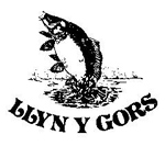 Llyn Y Gors Fishery