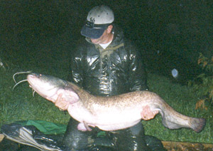 Mark Satchwell 50lb Horseshoe Lake Record, Lakemore Fishery