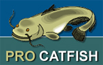 Pro Catfish