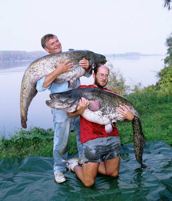Kevin Maddocks and Keith Lambert pioneered catfish on Italy's River Po in the early 90's