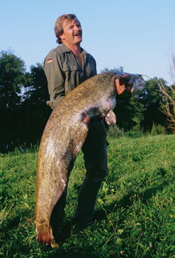 The first 'big' French catfish that Kevin caught - 79lb