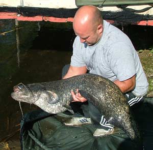 Tony Wignall 29lb