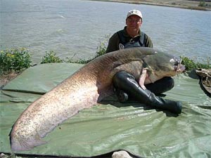 Ulrich Gloger 223lb Rio Ebro