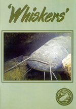 Whiskers 30 Out Now! 