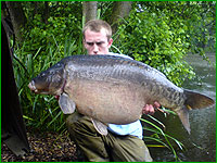 31lb 03oz 